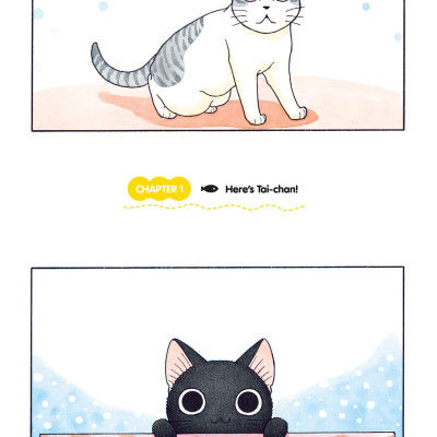 Sue & Tai-chan 1 (Graphic Novels)