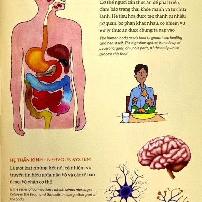 Bách Khoa Tri Thức - Khám Phá Cơ Thể Người - Explore The Human Body (Song Ngữ)