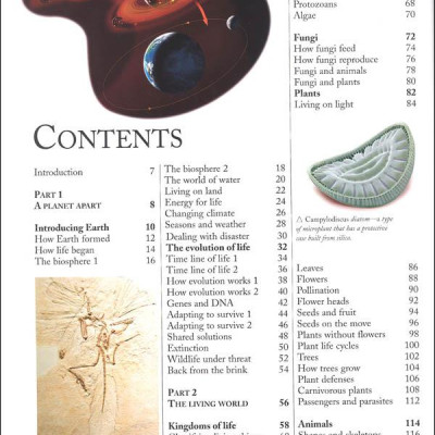 The Kingfisher Nature Encyclopedia