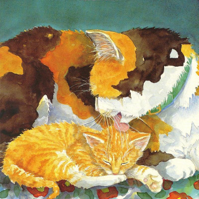 Sách ngoại văn: Time For Bed 30th Anniversary Edition