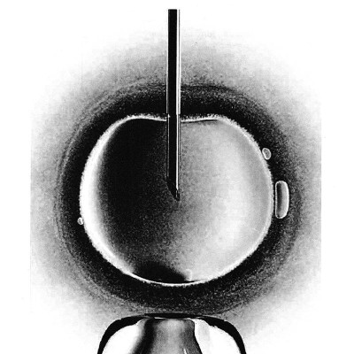 Combo Sách Homo Deus - Lược Sử Tương Lai + Nexus - Lược Sử Của Những Mạng Lưới Thông Tin Từ Thời Đại Đồ Đá Đến Trí Tuệ Nhân Tạo (Bộ 2 Cuốn)