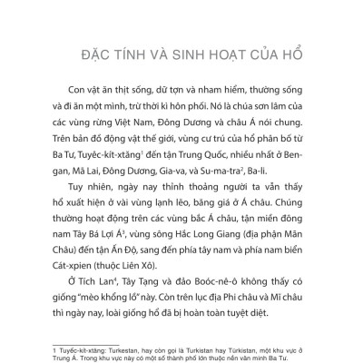 Sách - Tê Giác Trong Ngàn Xanh (Tái Bản 2025)