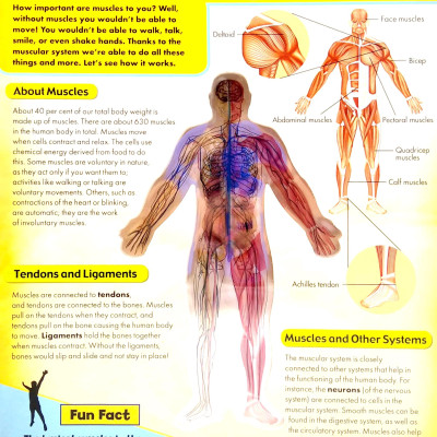 Discover 3D Human Body - Black Cover