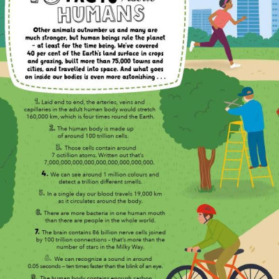 Lists For Curious Kids: Human Body: 205 Fun, Fascinating And Fact-Filled Lists