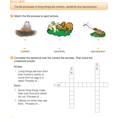 i-Learn Smart Science 3 Activity Book