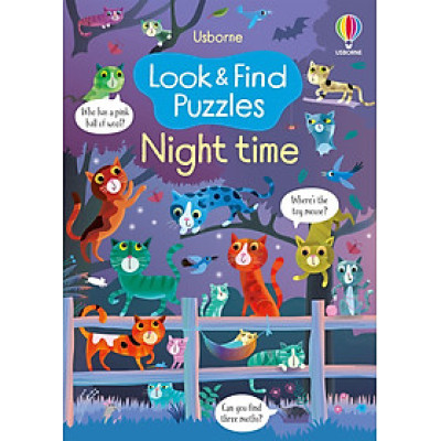 Look and Find Puzzles Night time