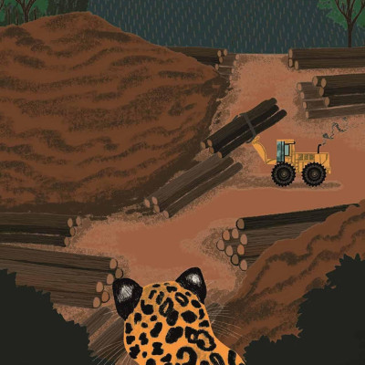 A Ladybird Book: Climate Change (Hardcover)