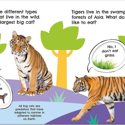 First Facts Big Cats (Turn-the-Wheel Books)