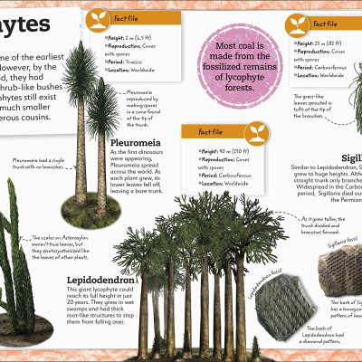 My Book Of Dinosaurs And Prehistoric Life: Animals And Plants To Amaze, Surprise, And Astonish!