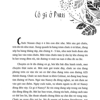 Paris Trong Hộp Giày