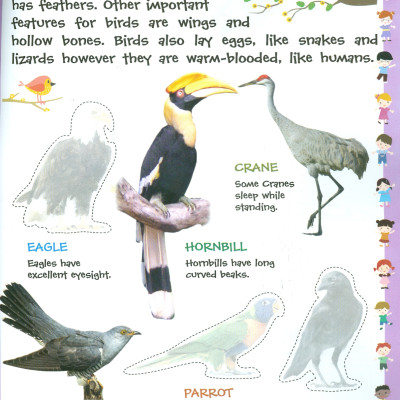 Play With Sticker - Birds (Chơi Cùng Hình Dán - Các Loài Chim)