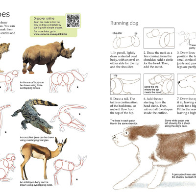 Sách tô vẽ tiếng Anh: Usborne Art Ideas Drawing Animals