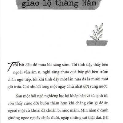 Cất Cho Tôi Những Ngày Xanh Nắng Hạ  - AZ