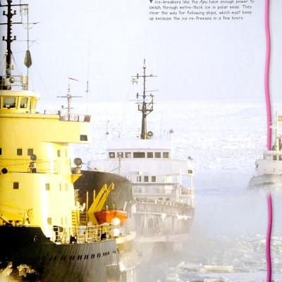 100 Facts Polar Lands