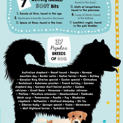 Lists For Curious Kids: 263 Fun, Fascinating And Fact-Filled Lists (Curious Lists)