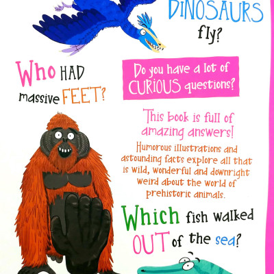 A Curious Library Of Questions And Answers