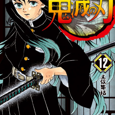 鬼滅の刃 12 - ONI METSU NO HA 12