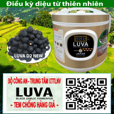 Máy làm tỏi đen tùy chỉnh thời gian LUVA D2(NEW) Công Nghệ Nhật Bản - Hàng chính hãng