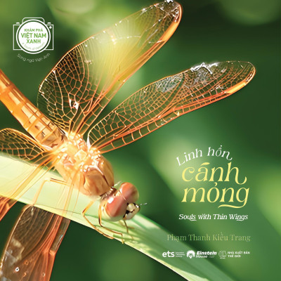 Sách - Khám Phá Việt Nam Xanh - A Touch Of Vietnam - Linh Hồn Cánh Mỏng - Souls With Thin Wings - Song Ngữ Việt-Anh