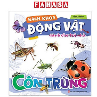 Sách - Bách Khoa Động Vật Dành Cho Trẻ Nhỏ - Côn Trùng (Tái Bản 2025)