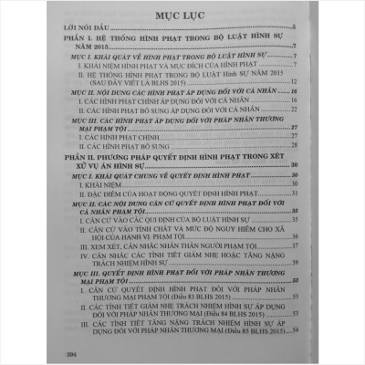 Tìm Hiểu Các Hình Phạt Trong Bộ Luật Hình Sự Năm 2015 Và Phương Pháp Quyết Định Hình Phạt Trong Xét Xử Vụ Án Hình Sự - Luật gia Nguyễn Ngọc Điệp