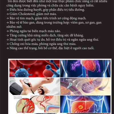 Máy Làm Tỏi Đen TIROSS TS904 - Hàng chính hãng