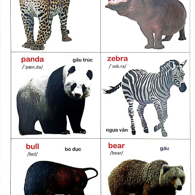 Bách Khoa Bằng Hình Đầu Tiên Cho Bé 2 - Chủ Đề Thế Giới Động Vật