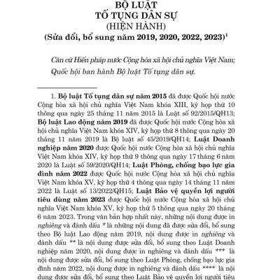 Bộ luật tố tụng dân sự ( bản in 2024)