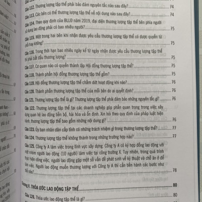 500 Câu Hỏi Và Tình Huống Giải Quyết Các Vướng Mắc, Tranh Chấp Lao Động Theo Bộ Luật Lao Động Năm 2019