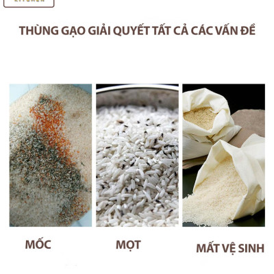 Thùng gạo âm tủ mặt gương chất lượng giá tốt cam kết giao đúng màu