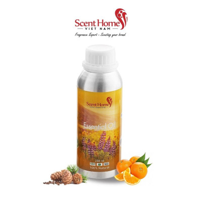 Tinh dầu Scent Homes - mùi hương (Healton)