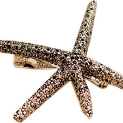 Kẹp tóc hình sao biển