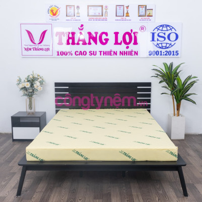 Nệm cao su non TL Tundo có massage 