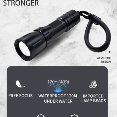 Đèn pin cho thợ lặn TERINO T51 (dùng dưới nước, 30w) - Hàng chính hãng