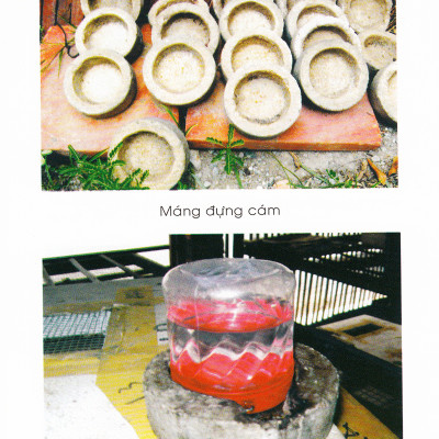 Phương Pháp Nuôi Dế - VL