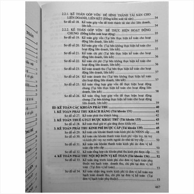 Sách Hướng Dẫn Thực Hành 187 Sơ Đồ Kế Toán Hành Chính Sự Nghiệp theo Thông tư số 24/2024/TT-BTC (V2473T)