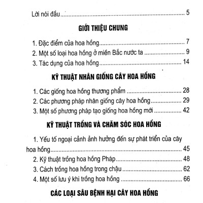 Kỹ Thuật Trồng Và Chăm Sóc Hoa Hồng