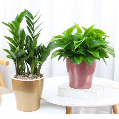 Chậu tự tưới W09 Monrovia, chất liệu nhựa PP, thiết kế tráng bạc sang trọng, màu sắc tinh tế