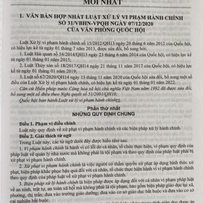 Hướng Dẫn Thi Hành Luật Xử Lý Vi Phạm Hành Chính  và Các Quy Định Xử Phạt Vi Phạm Hành Chính Mới Nhất