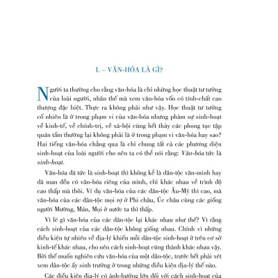 Việt Nam Văn Hoá Sử Cương - Bìa Cứng