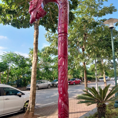 Gậy Chống Trượt Cho người Già - Hàng chính hãng