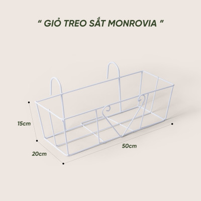 Combo chậu nhựa trồng cây chữ nhật kèm giỏ treo hoa ban công Monrovia, chậu trồng rau, khay trồng rau, trồng hoa