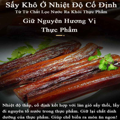 Máy sấy thực phẩm chuyên nghiệp Thương hiệu Mỹ cao cấp Septree ST-06, dung tích 45 lít, 12 khay - HÀNG NHẬP KHẨU, BẢO HÀNH 1 NĂM