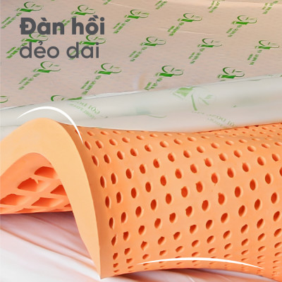 Nệm Cao Su Một Mặt Lỗ Đồng Phú DPCS1615 (160 x 200 x 15 cm)