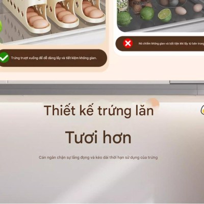 Hộp đựng trứng lăn thông minh – Kệ để trứng chuyên dụng cho cửa tủ lạnh, hộp bảo quản trứng tiện lợi, giúp sắp xếp gọn gàng, giữ trứng tươi lâu