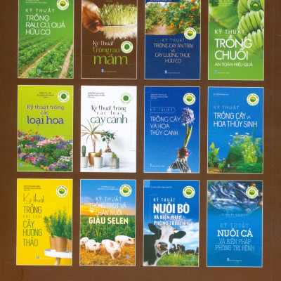 Kỹ Thuật Trồng Rau Mầm (Tái bản 2024)