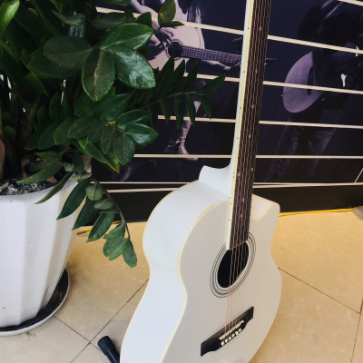 Đàn Guitar Acoustic Caravan Music HS4010WH