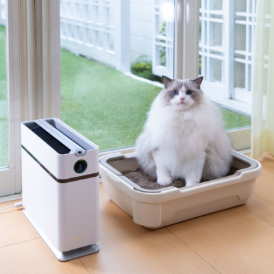 Máy lọc không khí HAKAWA X1D - Hàng chính hãng - Bảo hành chính hãng 12 tháng