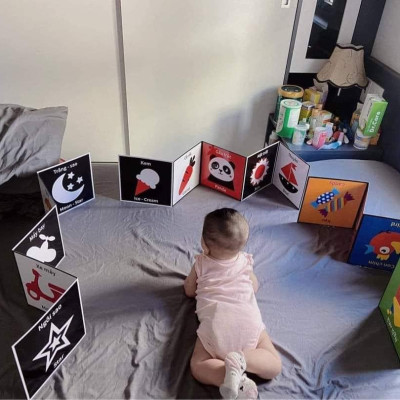Tranh kích thích thị giác cho trẻ sơ sinh từ 0-2 tuổi Đồ chơi cho trẻ sơ sinh giúp bé phát triển giác quan và não bộ - Đồ chơi trẻ em HT SYS