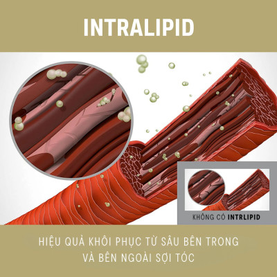 Xịt Dưỡng Phục Hồi Tóc Hư Tổn Goldwell Rich Repair Tái Tạo Tóc Tức Thì, Tóc Bóng Khỏe Tự Nhiên 150ml